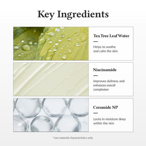 [Dr. Althea] 345 Relief Cream