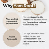 [Isntree] Yam-Wurzel Vegane Milchcreme
