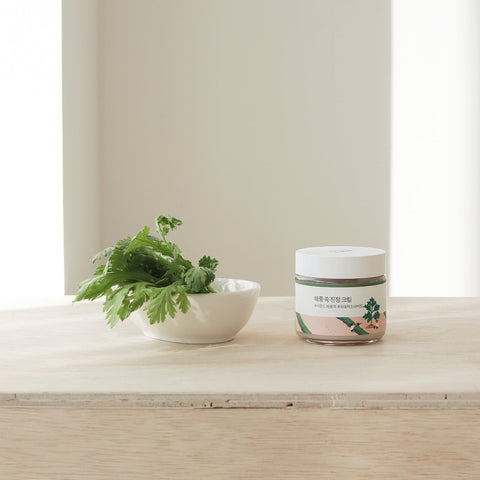 [Round Lab] Mugwort Beruhigende Creme